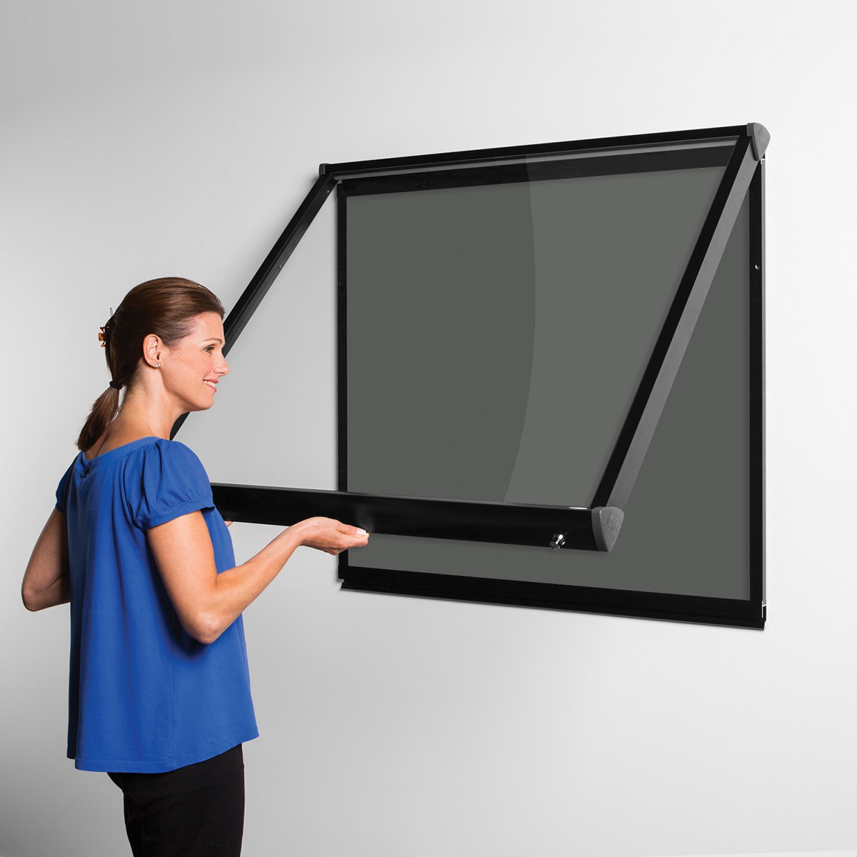 Shield Interior Showcases